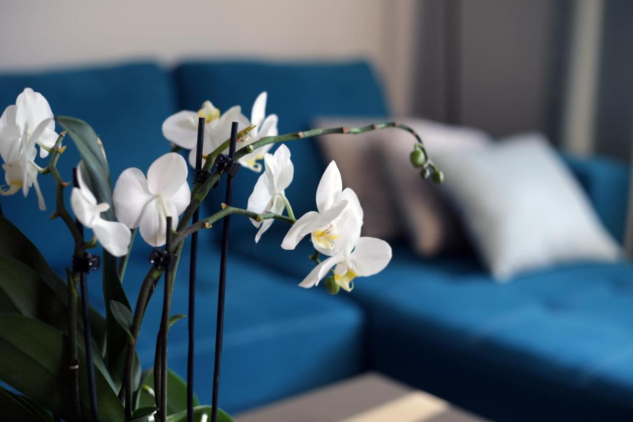 Apartament Turkus Szczecin Exterior foto